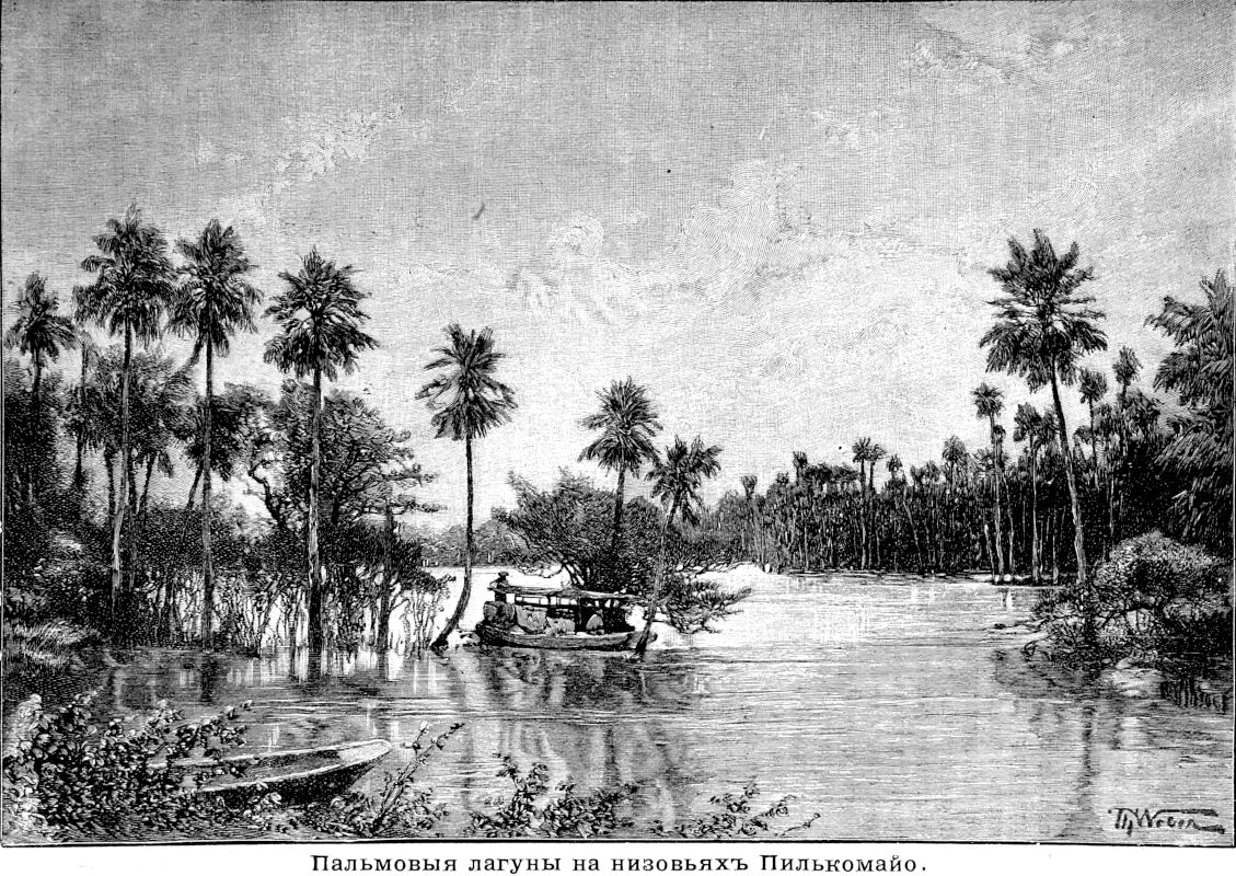 445 Пальмовые лагуны на низовьях Пилькомайо